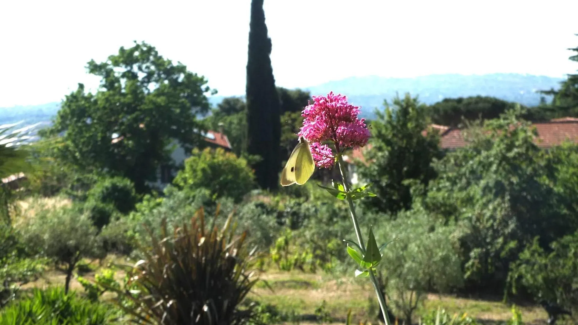 בית נופש טרקסטאני Uvatanta Cottage